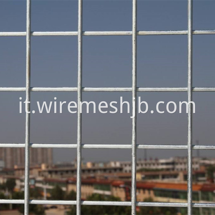 Steel Wire Mesh